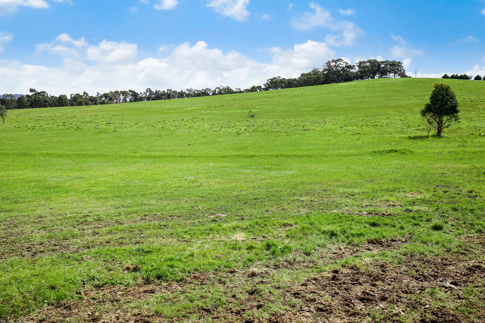 Additional image 8 of Lots 1-4 Noahs Ark Road, Ararat VIC 3377