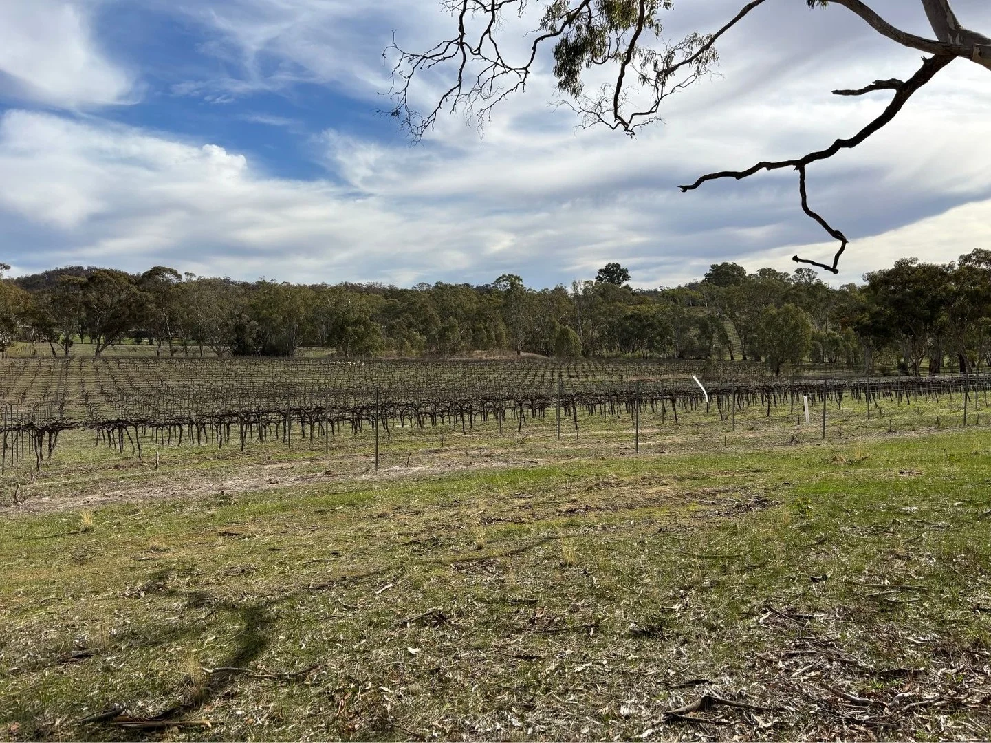 102 Sawmill Road, Sevenhill SA 5453