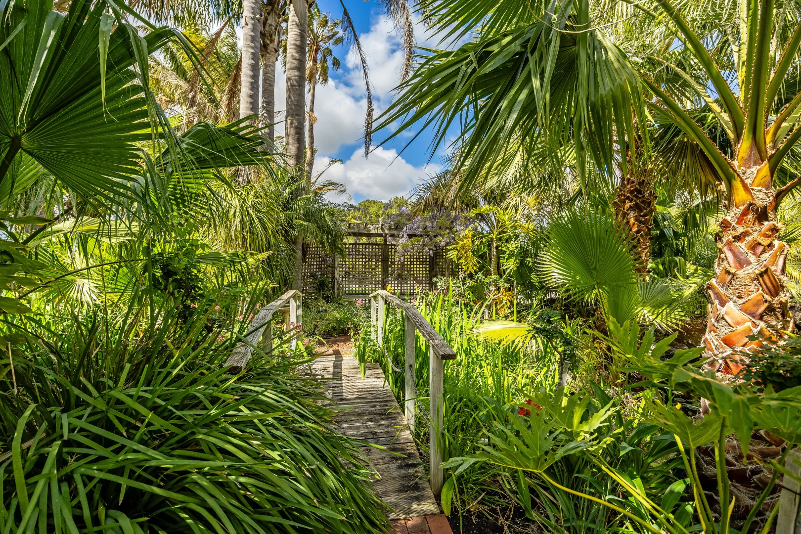 Additional image 48 of 726 Langhorne Creek Road, Belvidere SA 5255