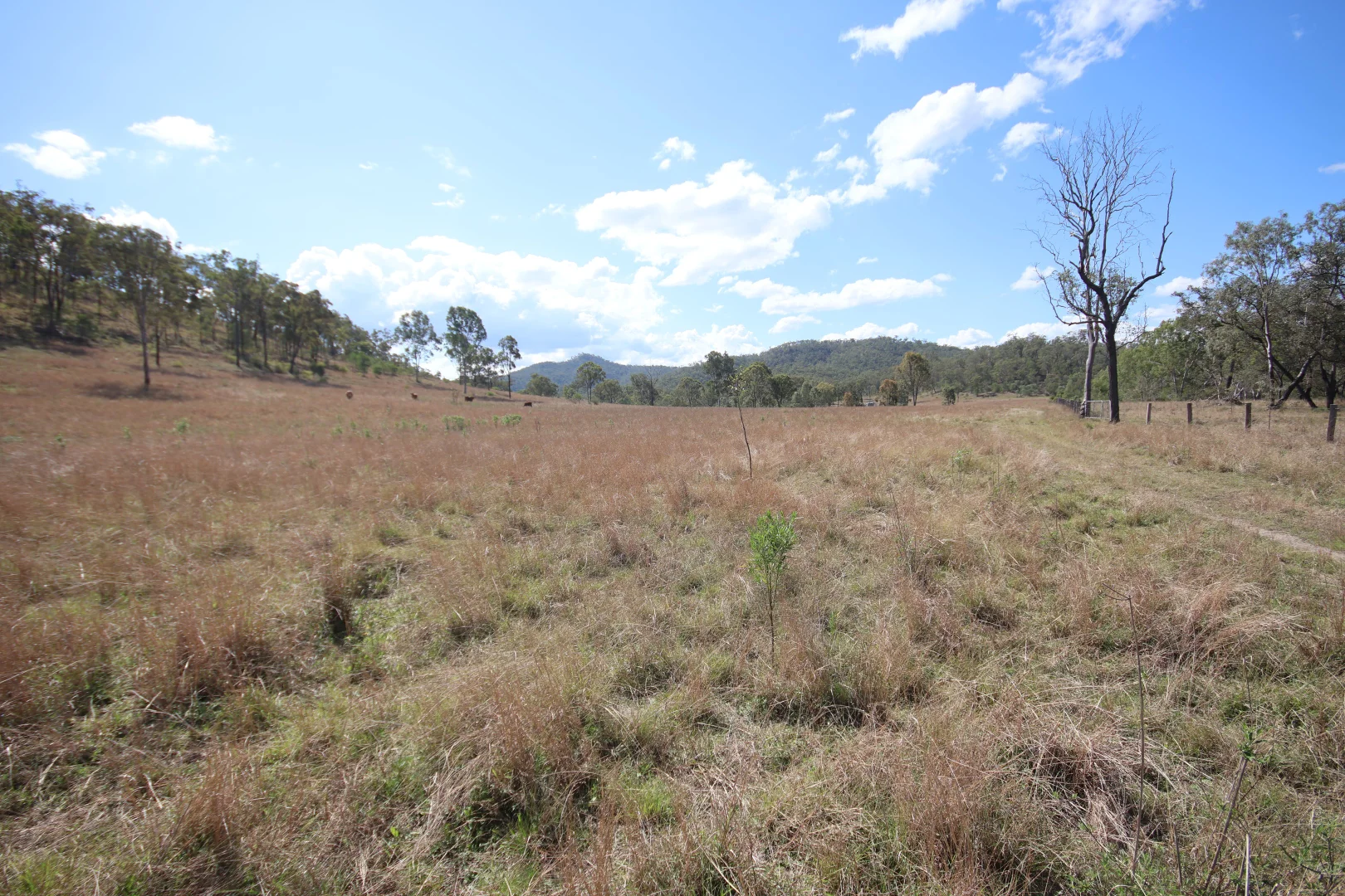 Additional image 7 of 789 Coppin Road, Mungungo QLD 4630