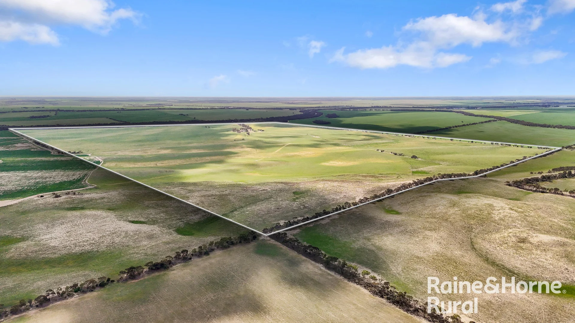 Additional image 35 of 4910 Mallee Highway, Peake SA 5301