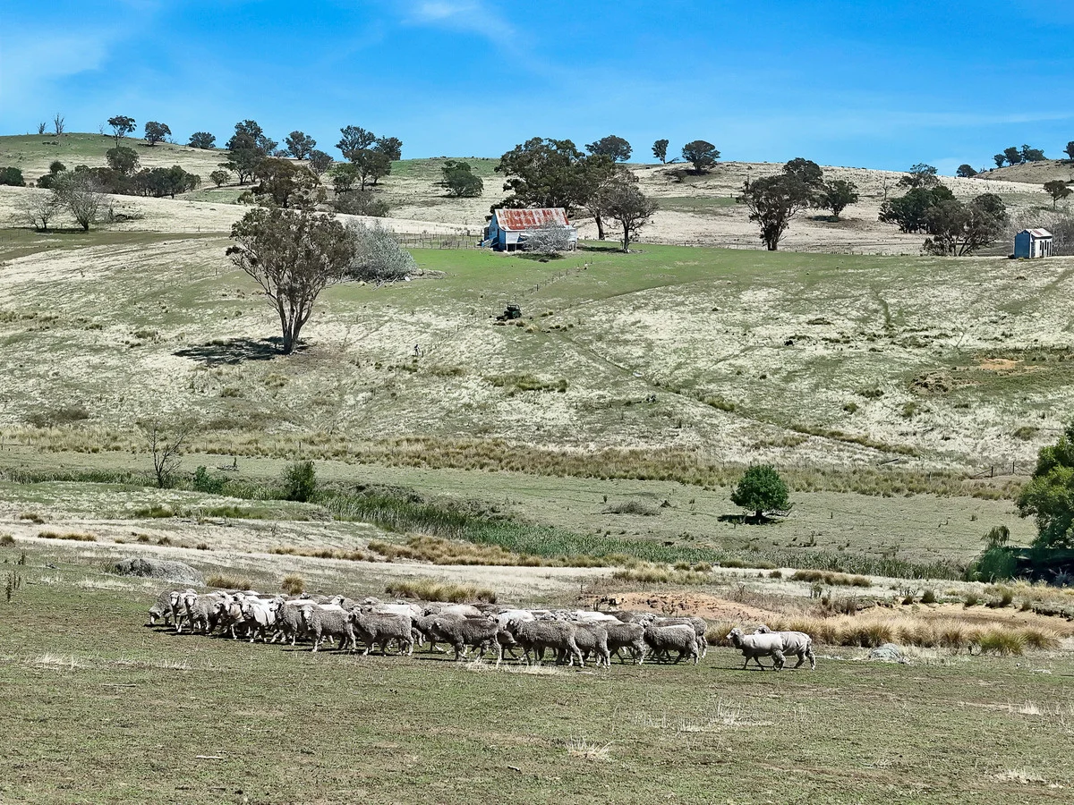 Additional image 2 of 46 Hearn Street, Bigga NSW 2583