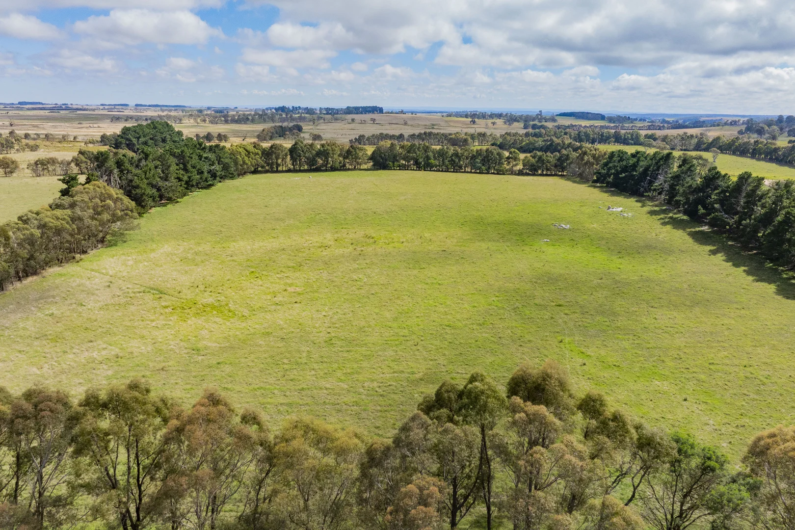 Additional image 44 of 251 Mount Rae Road, Roslyn NSW 2580