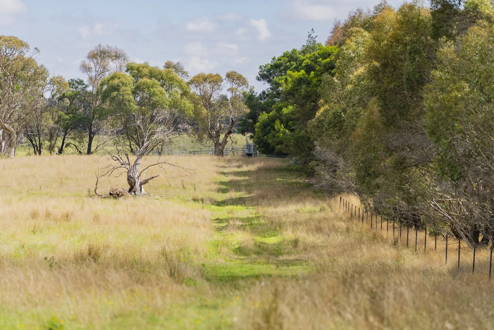 Additional image 8 of 251 Mount Rae Road, Roslyn NSW 2580