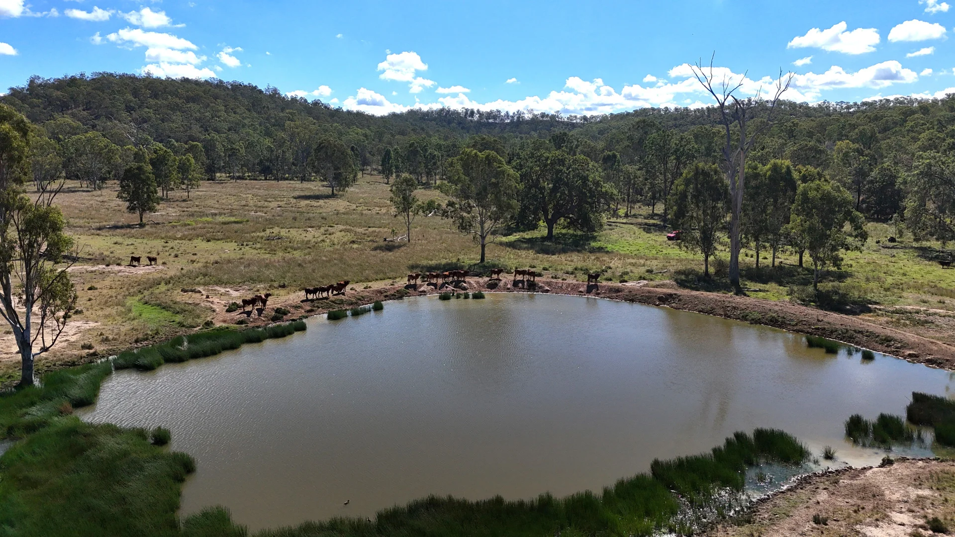 Additional image 18 of 789 Coppin Road, Mungungo QLD 4630