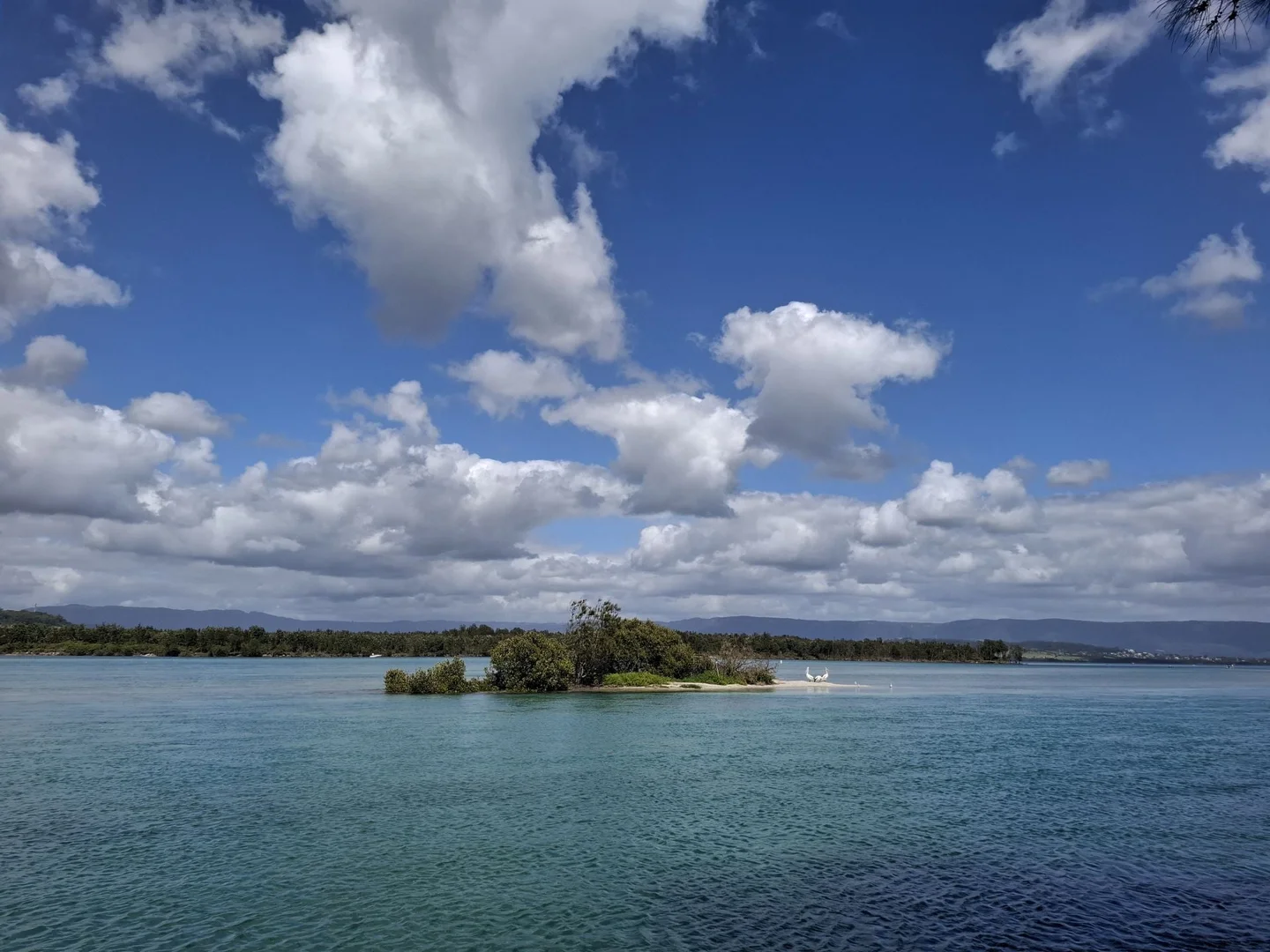 Additional image 8 of 227/19 Judbooley Parade, Windang NSW 2528