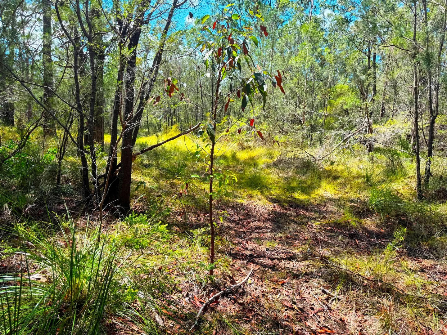Additional image 4 of Lot 315 Glen Innes Road, North Arm Cove NSW 2324