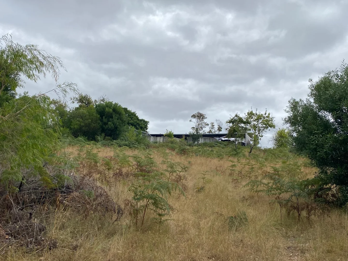 Additional image 8 of 45647 South Coast Highway, Kalgan WA 6330