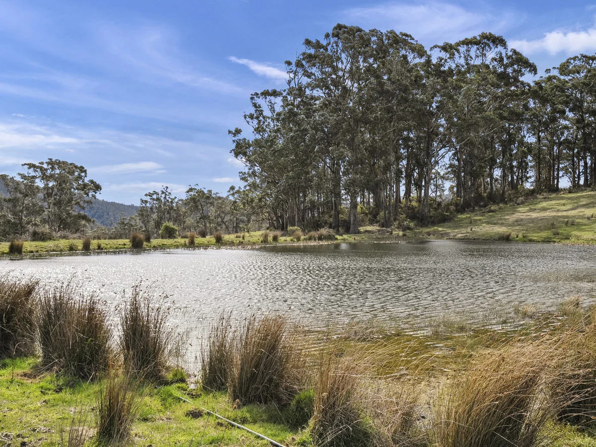 Additional image 19 of 406 Kellevie Road, Kellevie TAS 7176