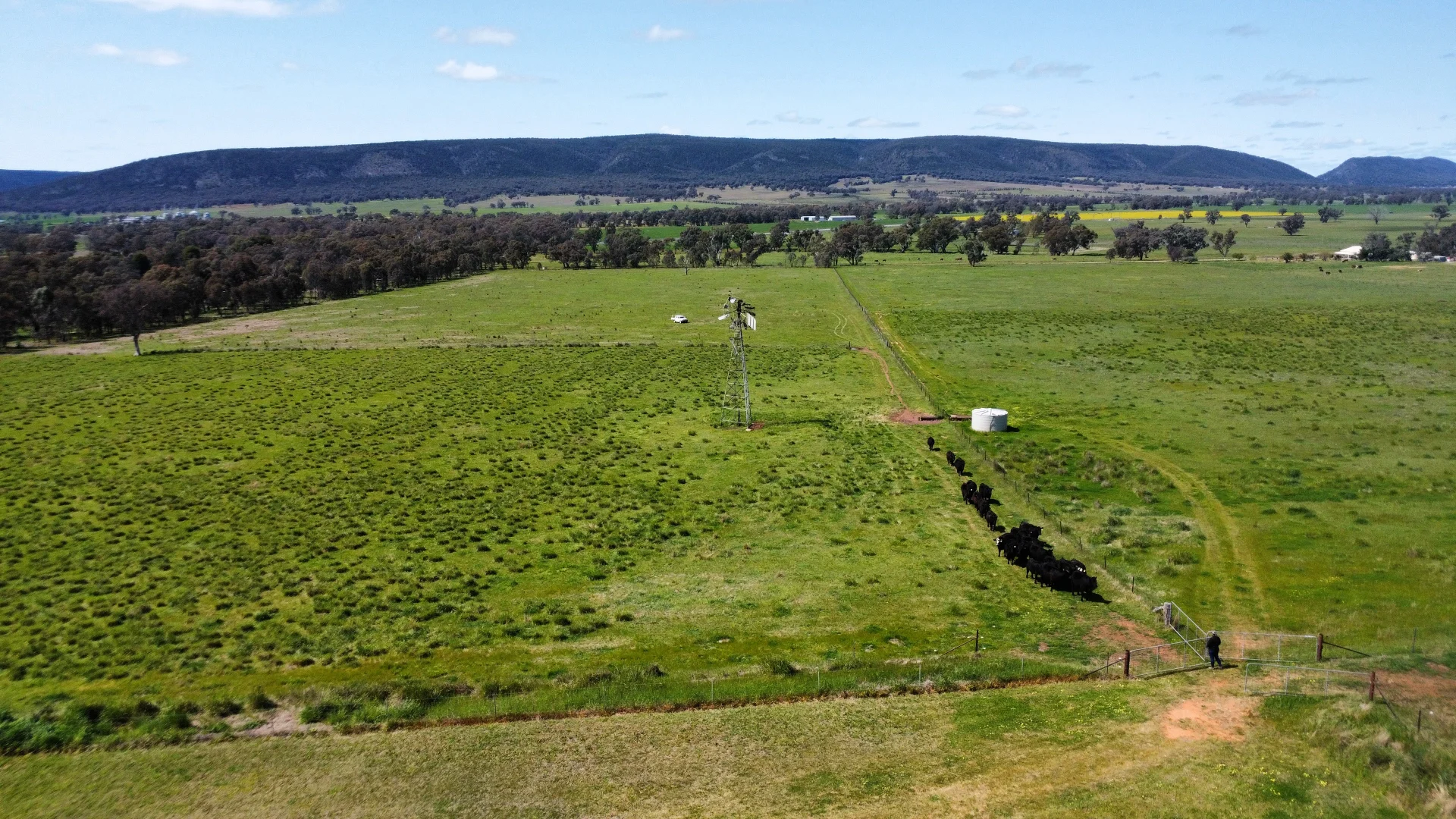 Additional image 19 of Young NSW 2594