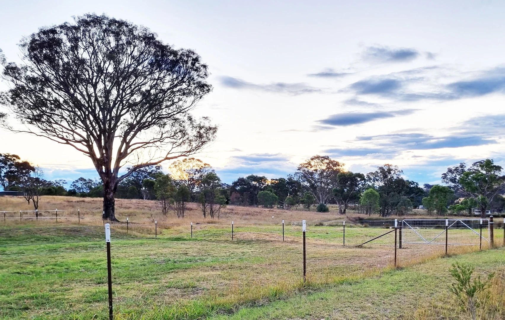 Additional image 2 of 5 STRINGYBARK PLACE, Manton NSW 2582