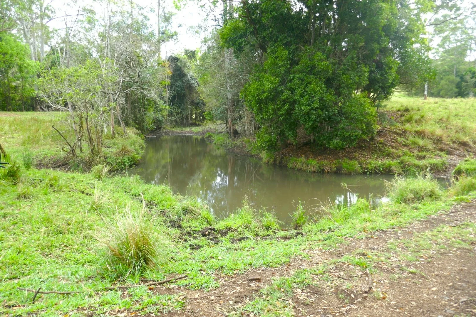 Additional image 21 of 66 Old Tweed Road, Wadeville NSW 2474