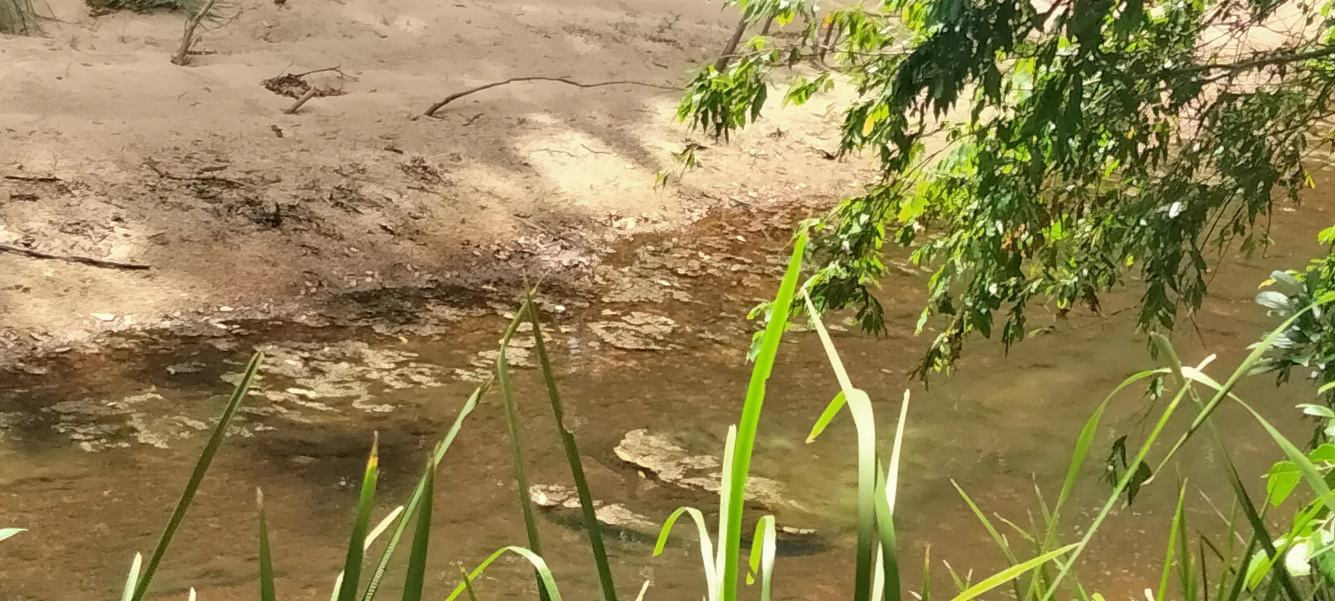 Additional image 24 of 3359 Lowmead Road, Lowmead QLD 4676