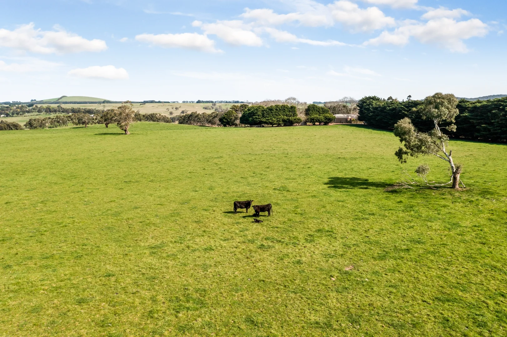 Additional image 23 of 75 Greenhills Road, Greendale VIC 3341