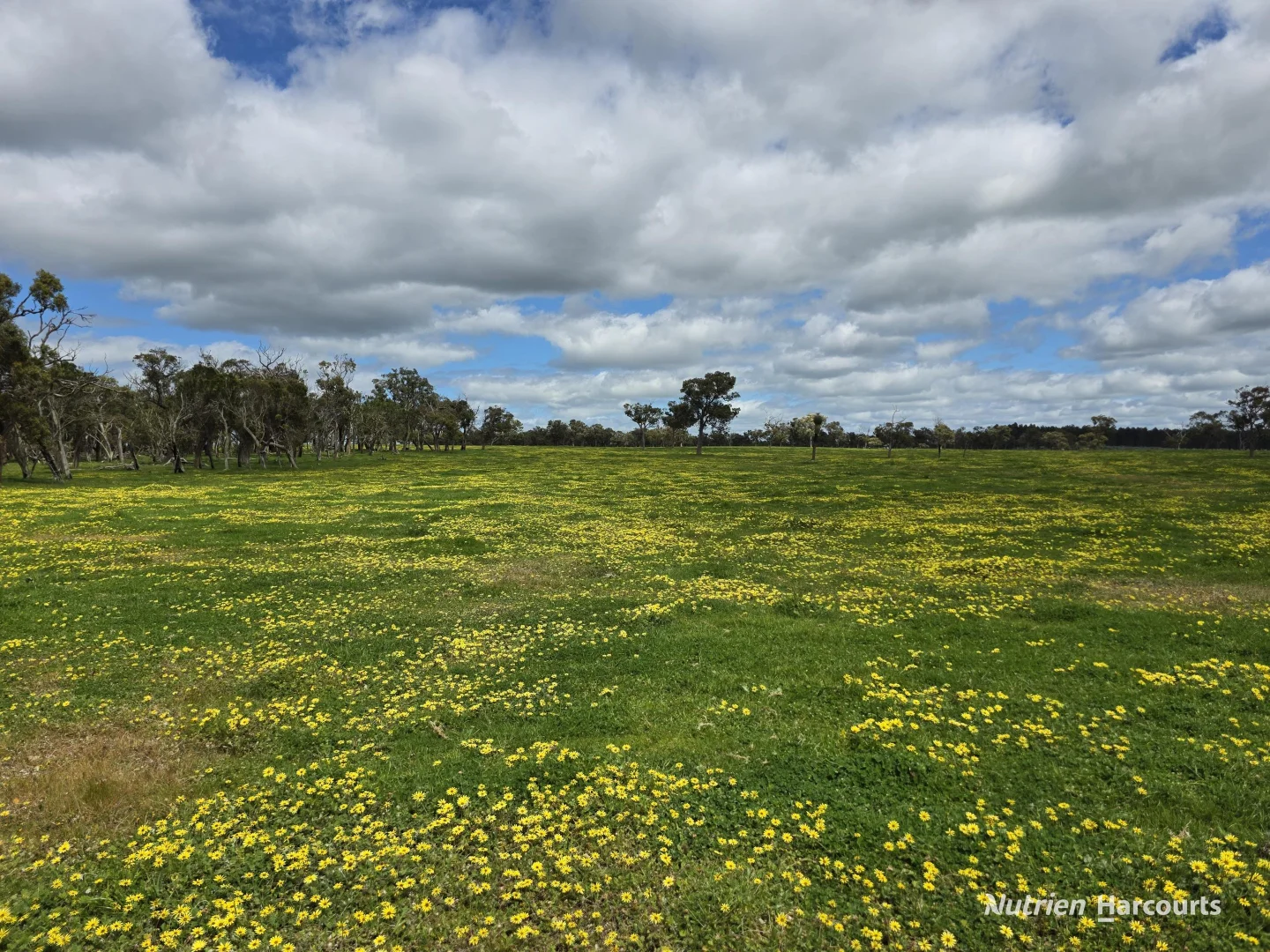 Additional image 18 of 1867 Chester Pass Road, Napier WA 6330
