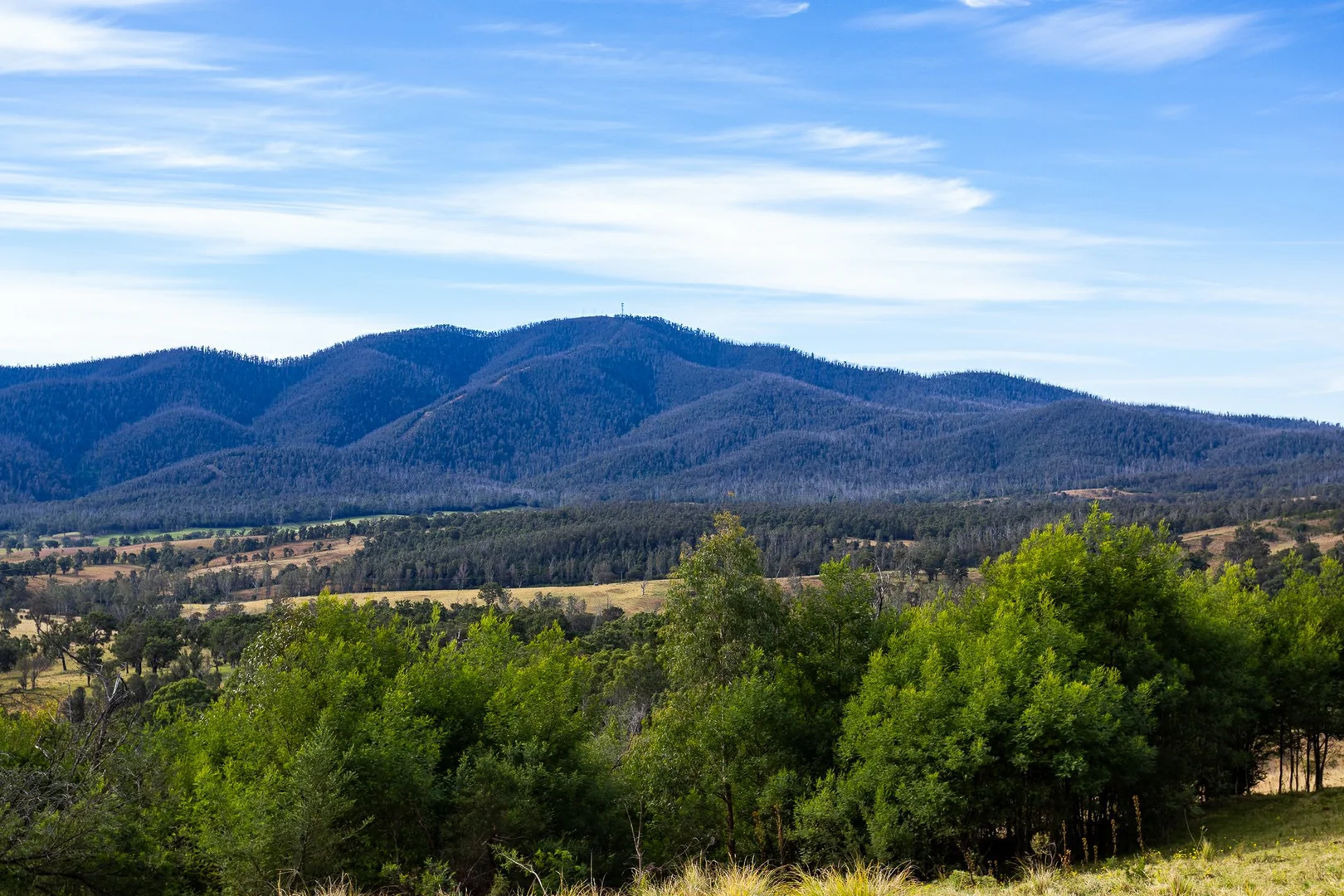 Additional image 18 of Lot 63 Watts Road, Cobargo NSW 2550