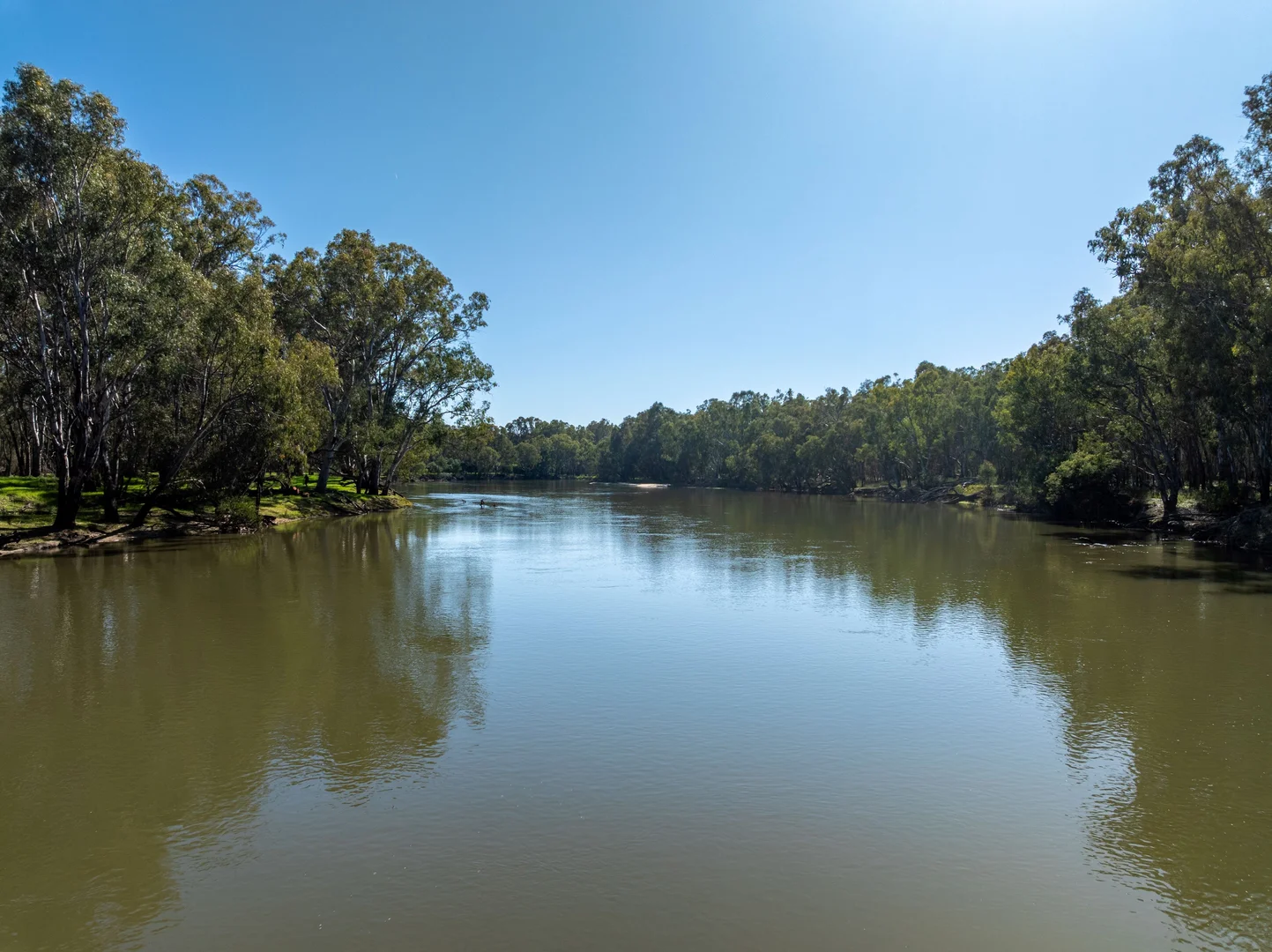 Additional image 2 of 6021 Riverina Highway, Hopefield NSW 2646