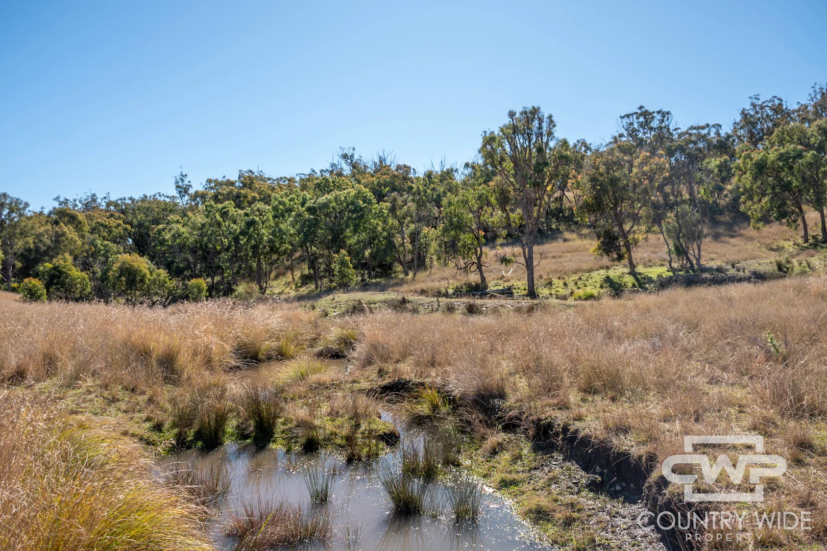 Additional image 12 of 12, 212 Mole Station Road, Tenterfield NSW 2372