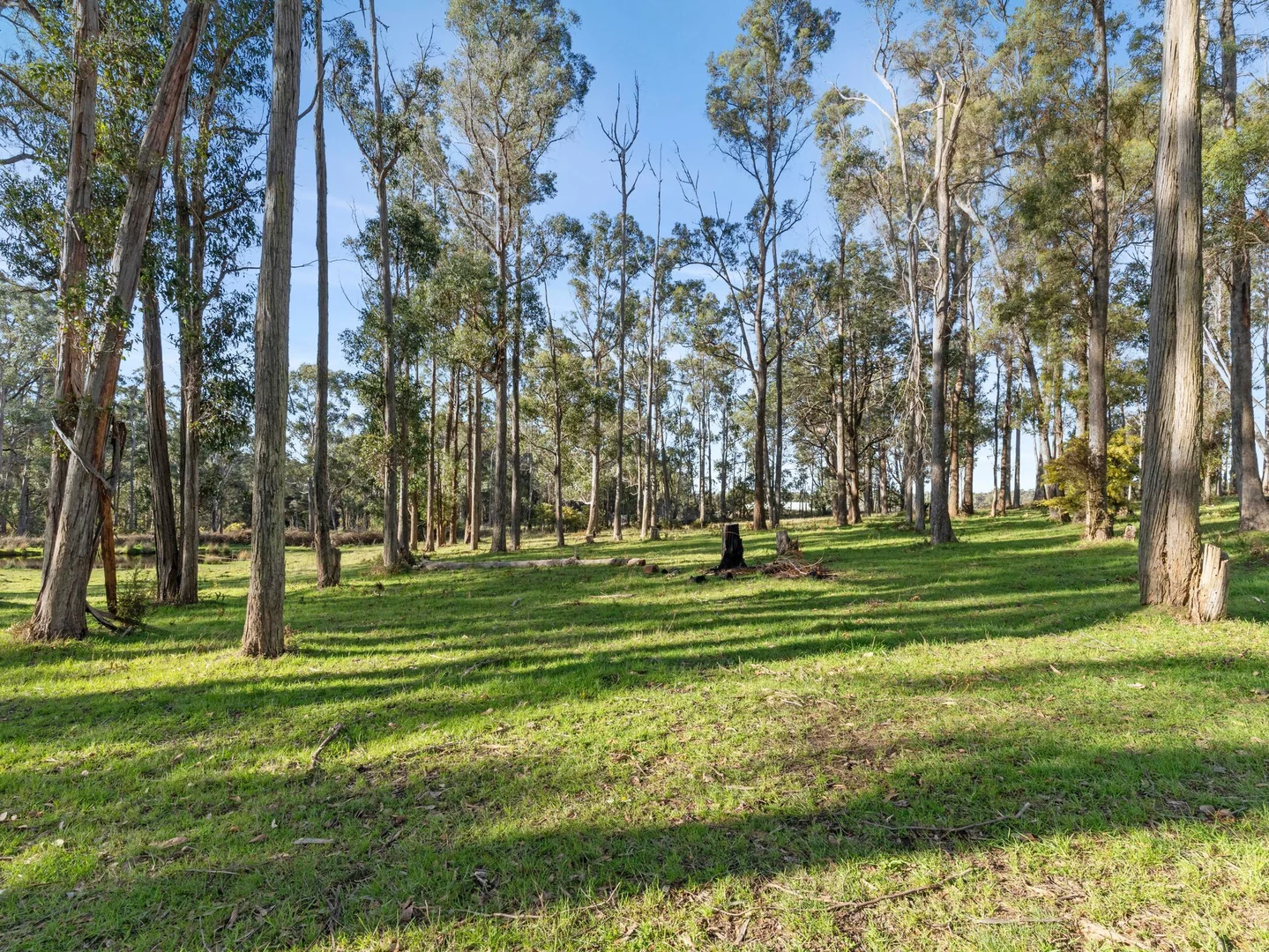Additional image 9 of Lot 0 Goss Road, Railton TAS 7305