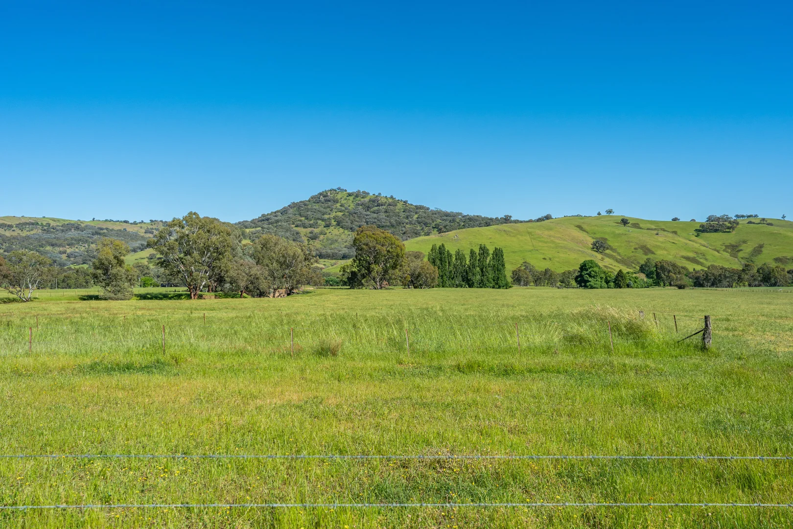 Additional image 22 of 60 Darmodys Road, Leneva VIC 3691