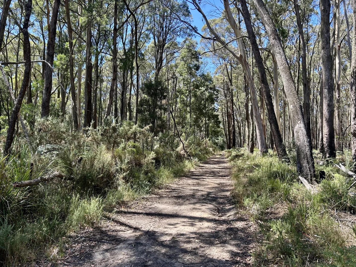 Additional image 9 of 18 Golden Point Road, Trentham VIC 3458