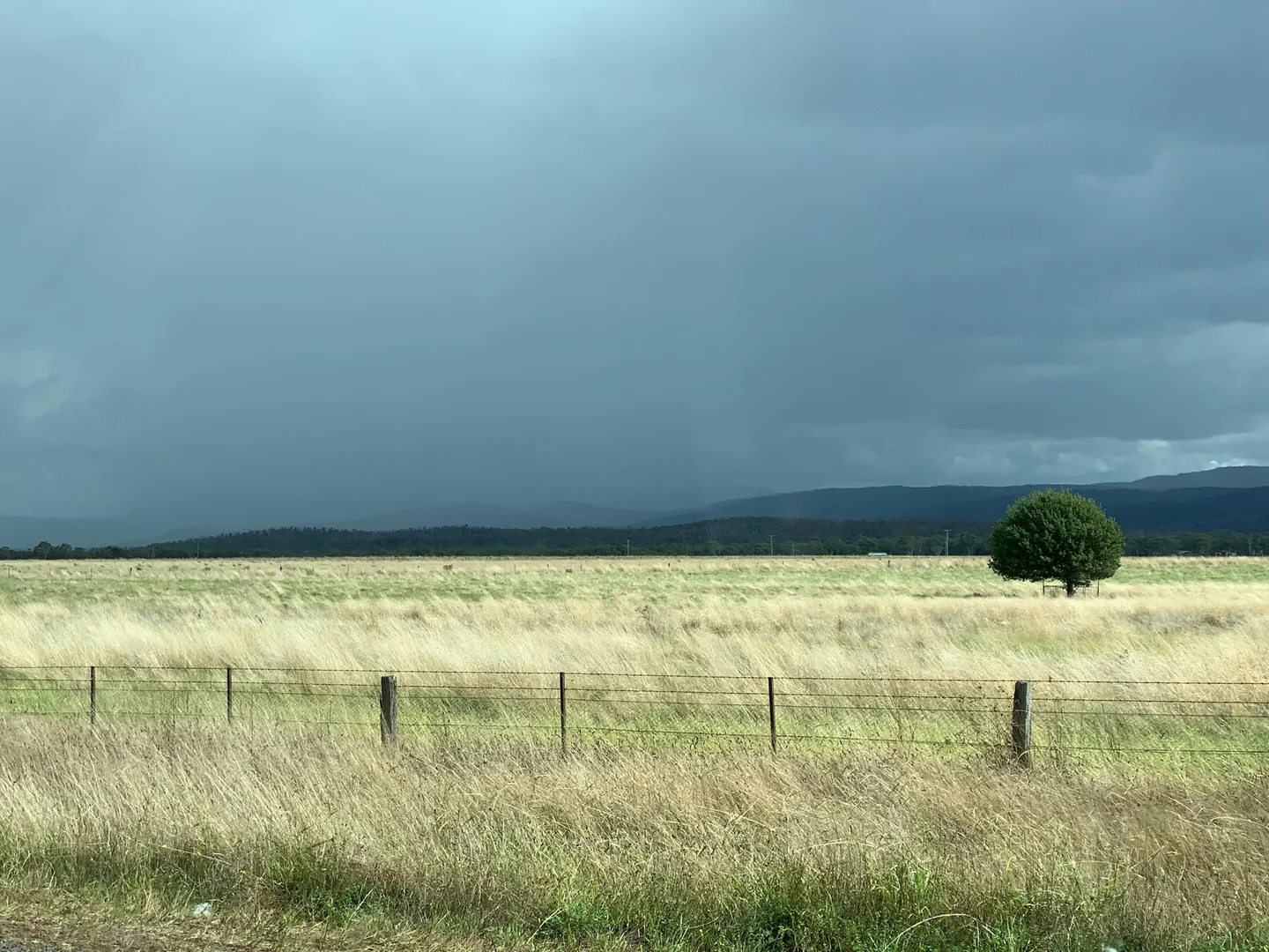 Additional image 43 of 385 Foxs Elbow Road, Braidwood NSW 2622