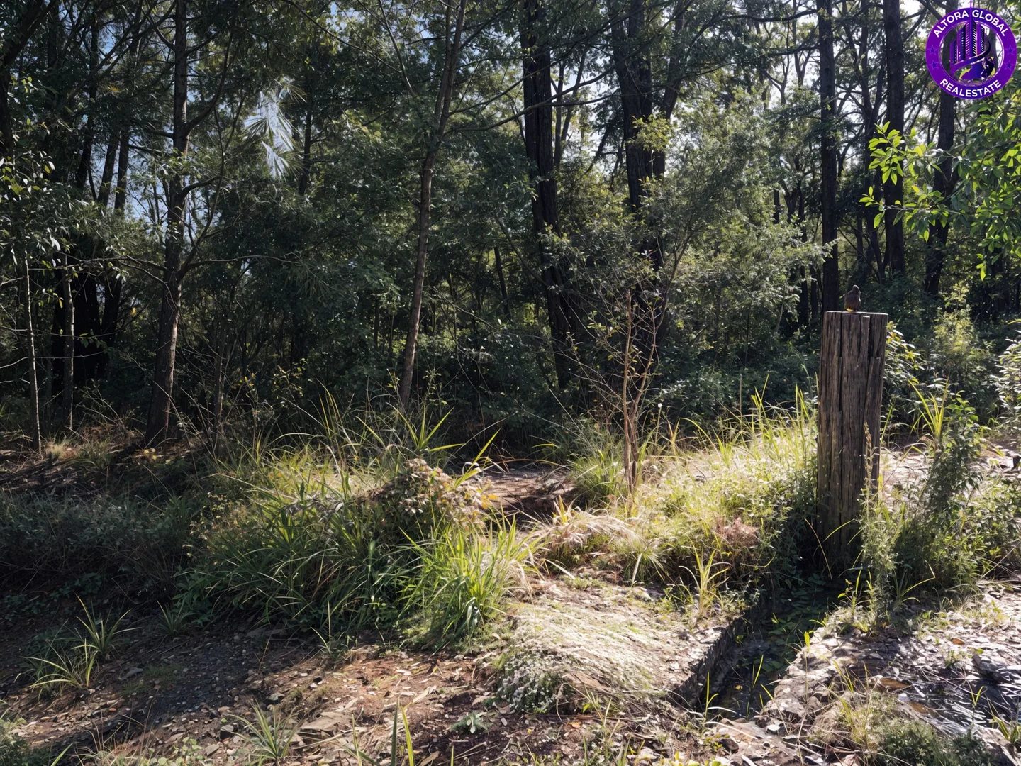 Additional image 6 of 57 Kurrajong Road, Russell Island QLD 4184
