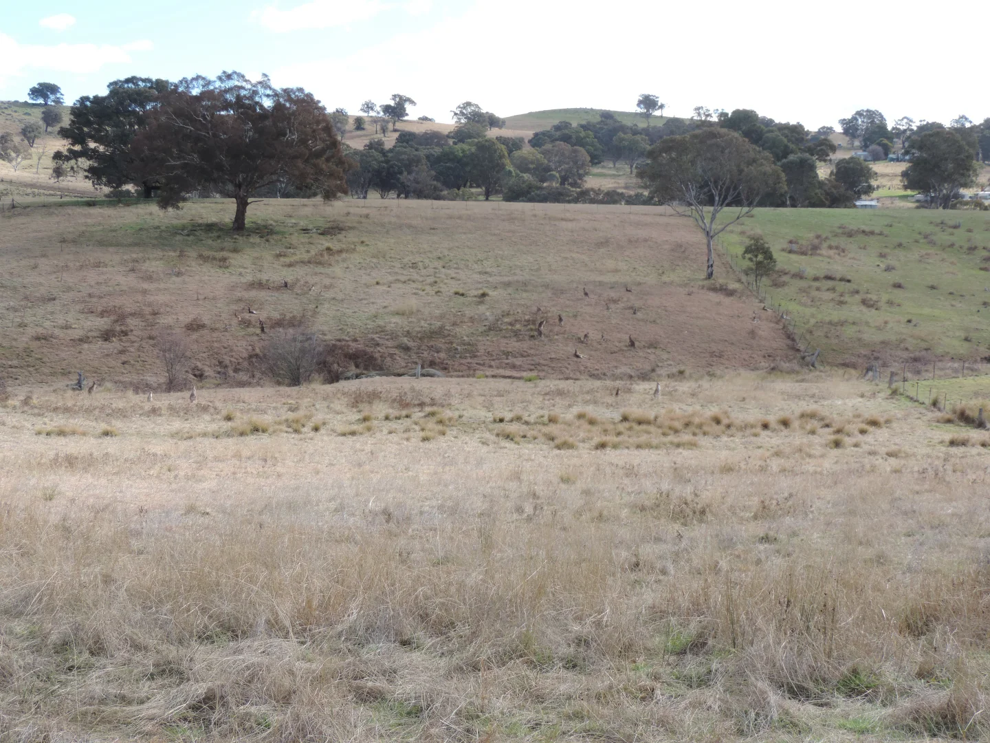 Additional image 5 of 26 Hailstone Street, Bigga NSW 2583