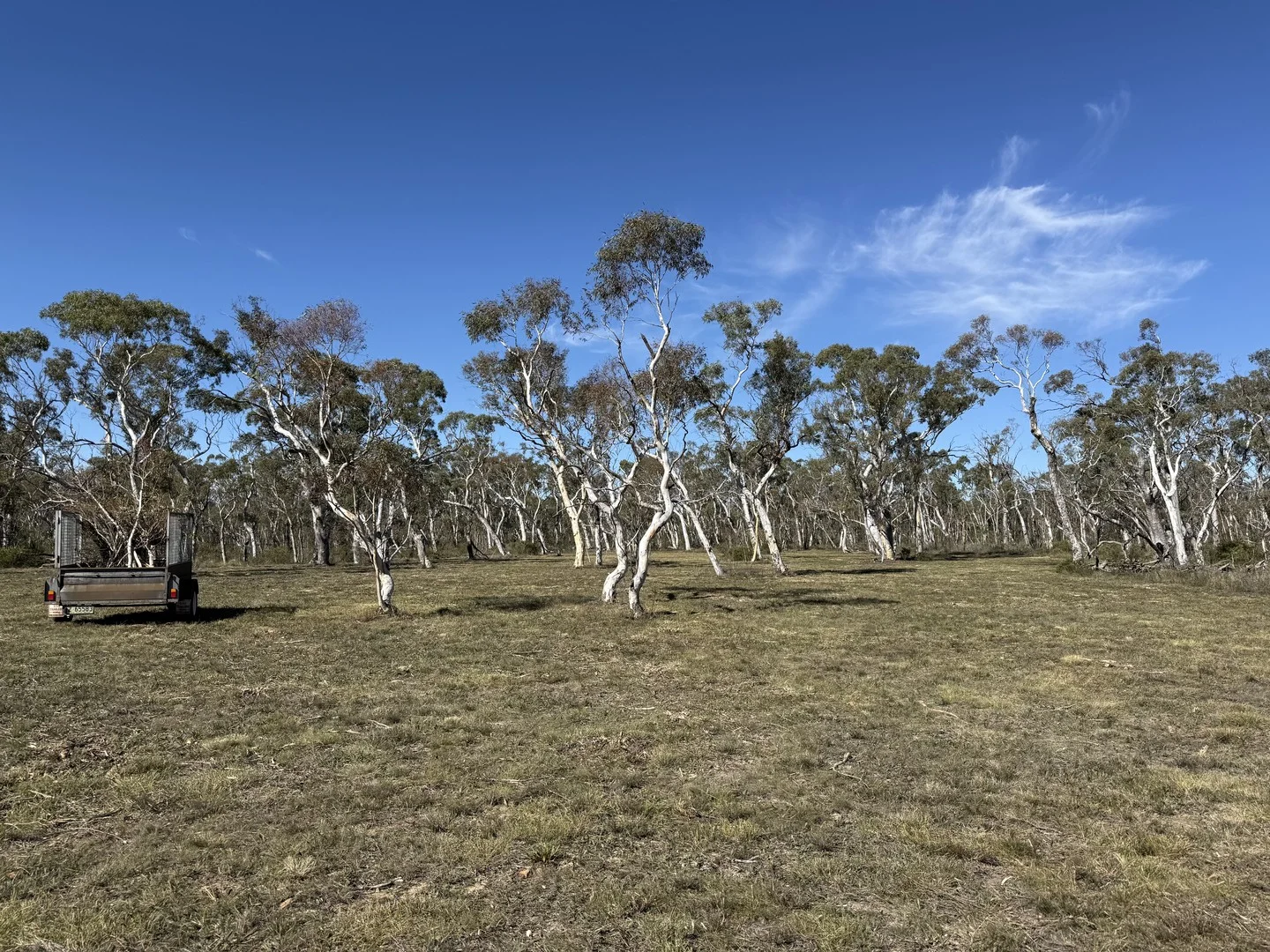 Additional image 6 of 385 Foxs Elbow Road, Braidwood NSW 2622