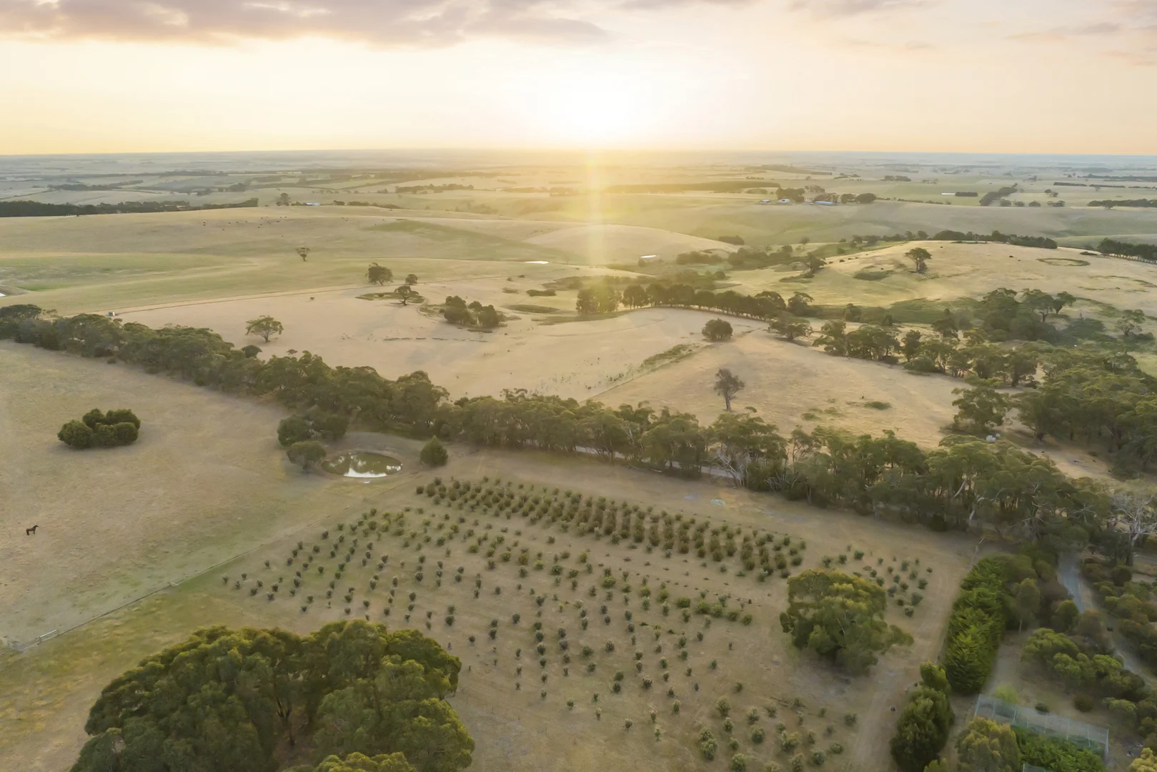 Additional image 22 of 366 Savage Hill Road, Dereel VIC 3352