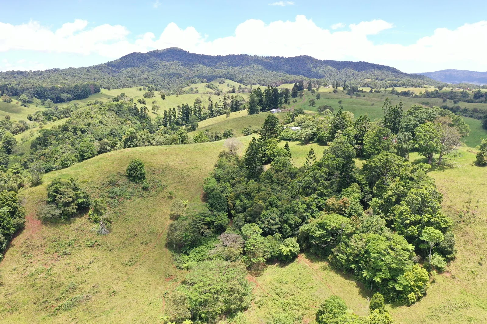 Additional image 16 of 780 MIDDLEBROOK ROAD, Millaa Millaa QLD 4886