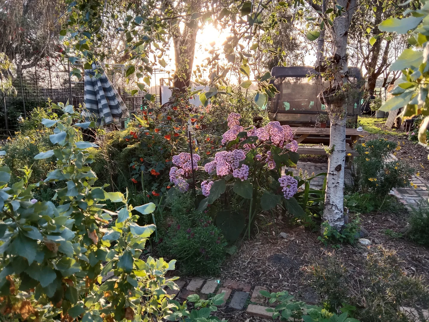 Additional image 28 of 31 Bayview Avenue, Tenby Point VIC 3984