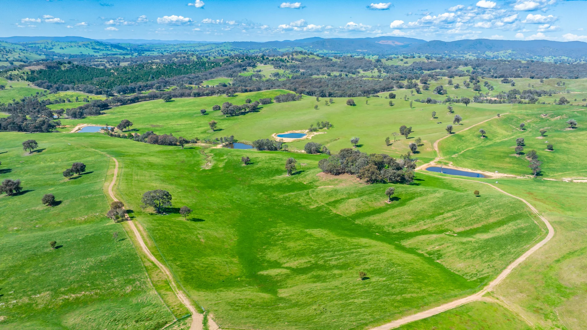 Additional image 16 of 13759 Hume Highway, Mullengandra NSW 2644