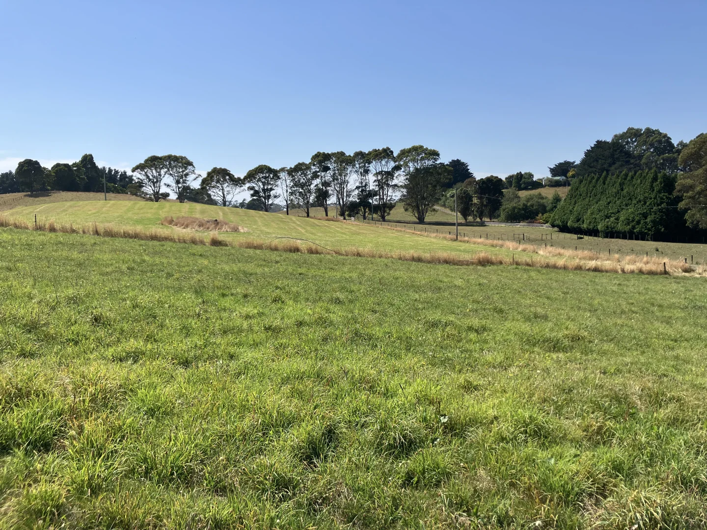 Additional image 27 of 729 Circular Road, Ridgley TAS 7321