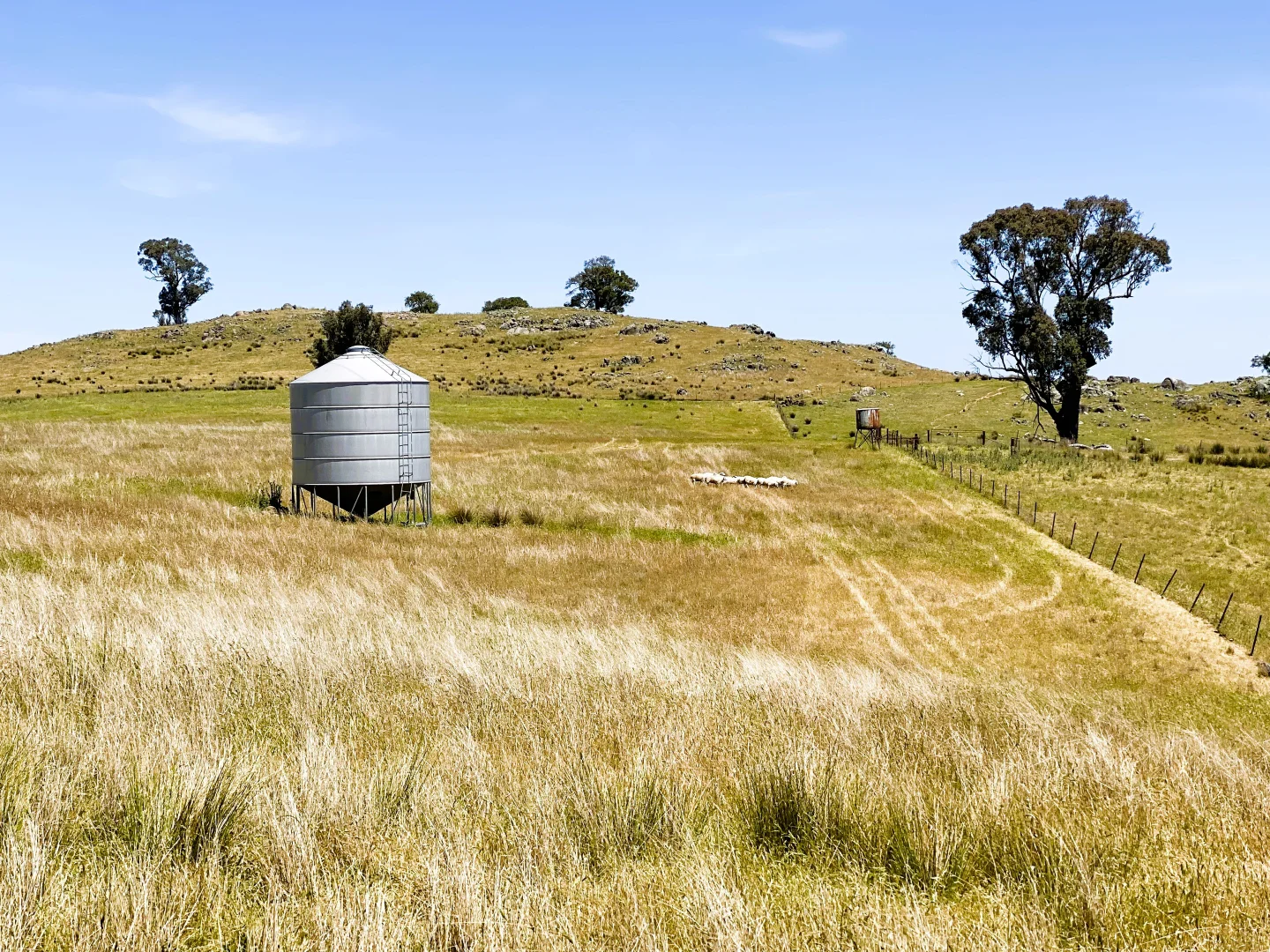 Additional image 13 of 250 Emu Creek Road, Canowindra NSW 2804