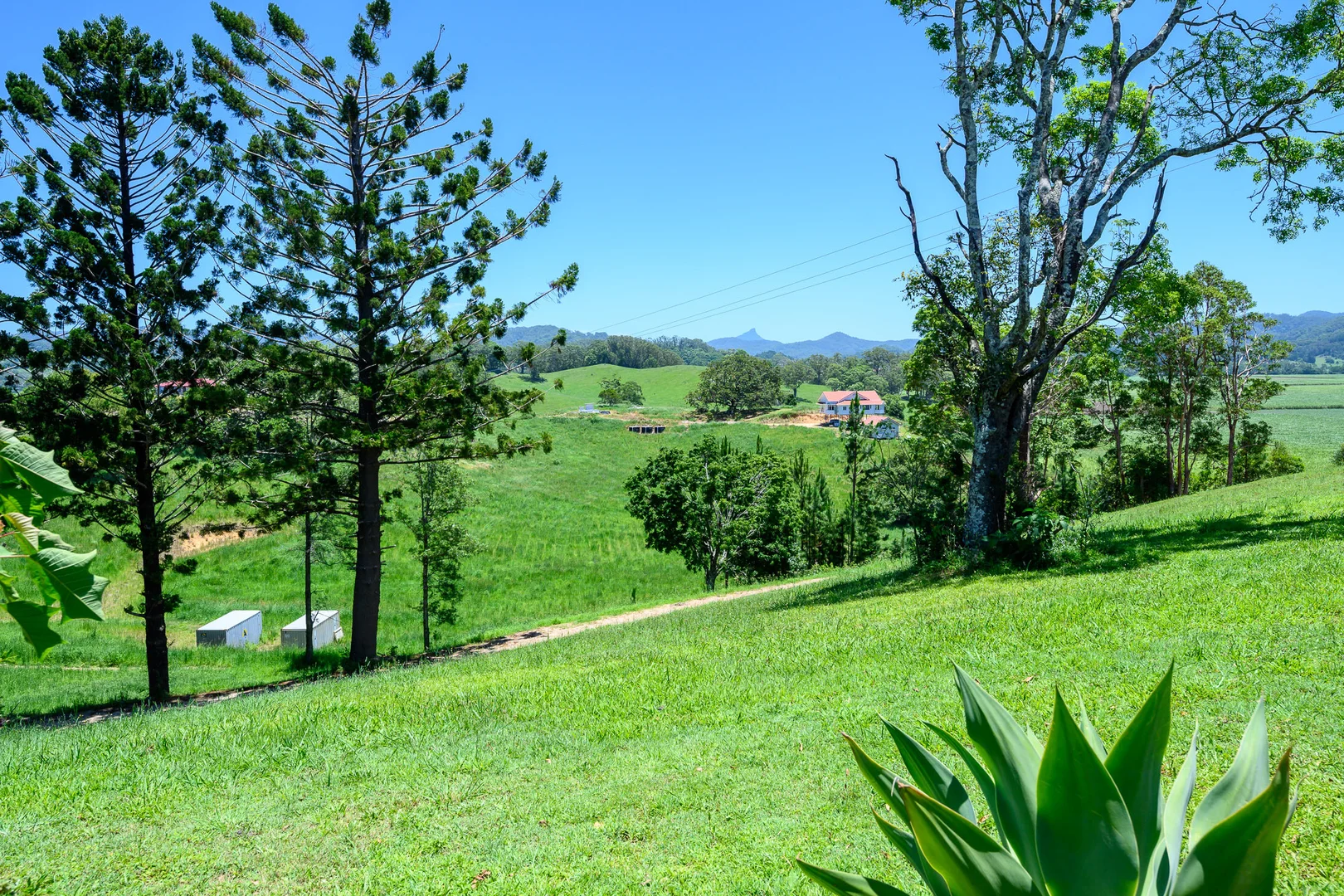 Additional image 21 of 227 Hulls Road, Crabbes Creek NSW 2483