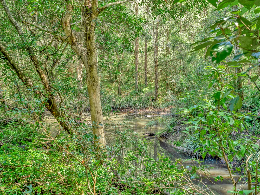 Additional image 8 of 136 Browns Road, Halfway Creek NSW 2460