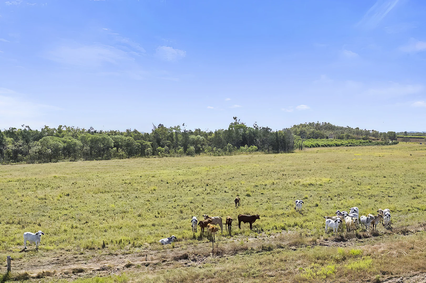 Additional image 32 of 171 Shanty Creek Road, Mareeba QLD 4880