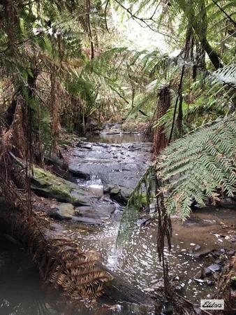 Additional image 16 of Sisters Road, Gormandale VIC 3873