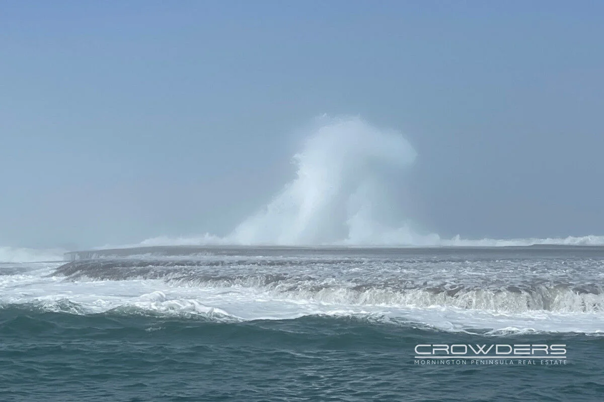 Additional image 14 of 32 Creedmore Drive, Rye VIC 3941