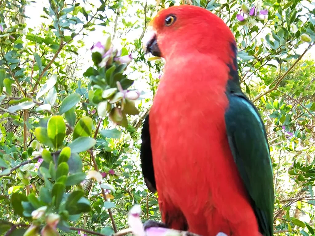 Additional image 27 of 29 Wood Street, Metung VIC 3904