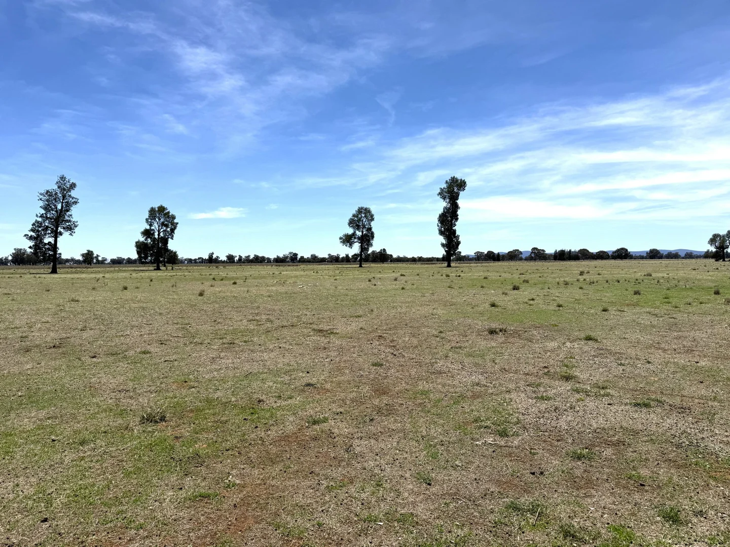 Additional image 10 of 1539 Bland Road, Quandialla NSW 2721