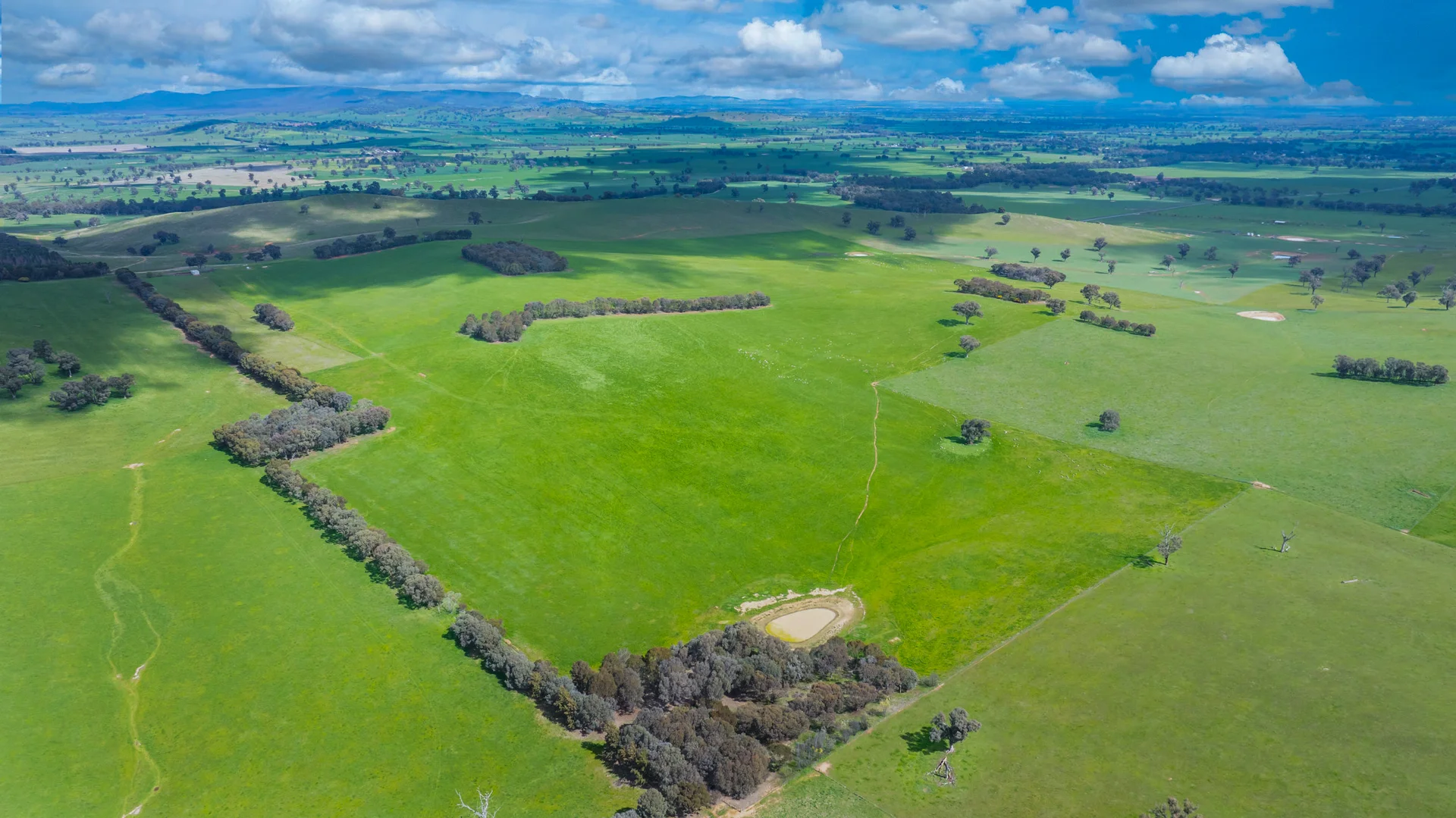 Additional image 5 of 1510 Culcairn Holbrook Road, Morven NSW 2660