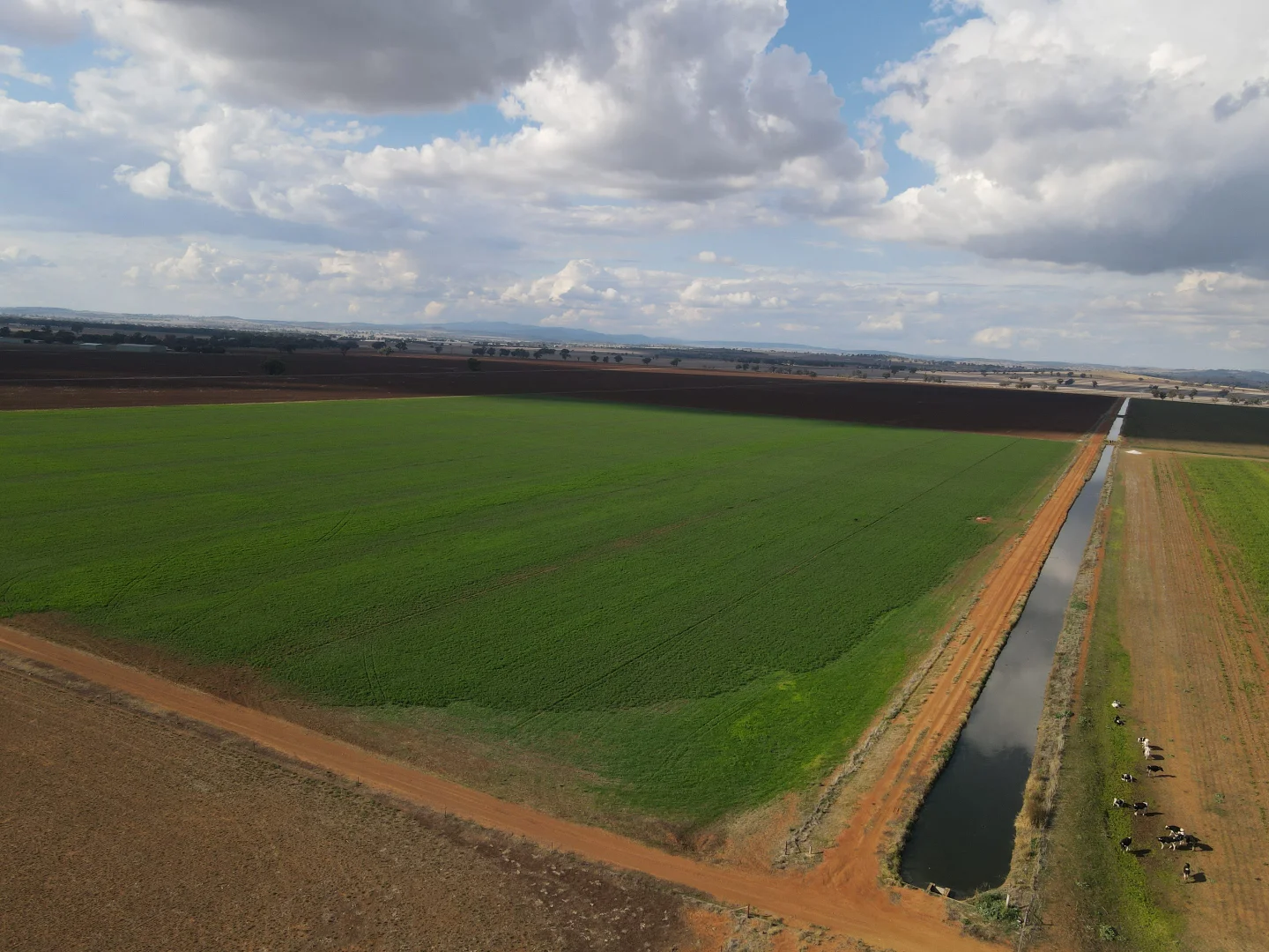 Additional image 26 of 448 Nangar Road, Canowindra NSW 2804