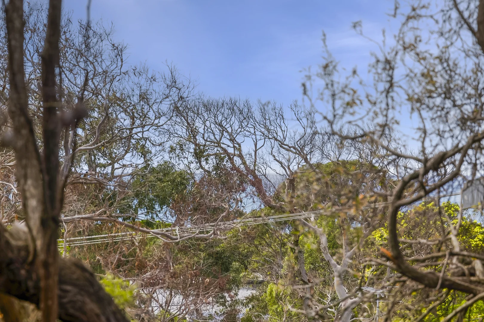 Additional image 9 of 26 Parker Street, Anglesea VIC 3230