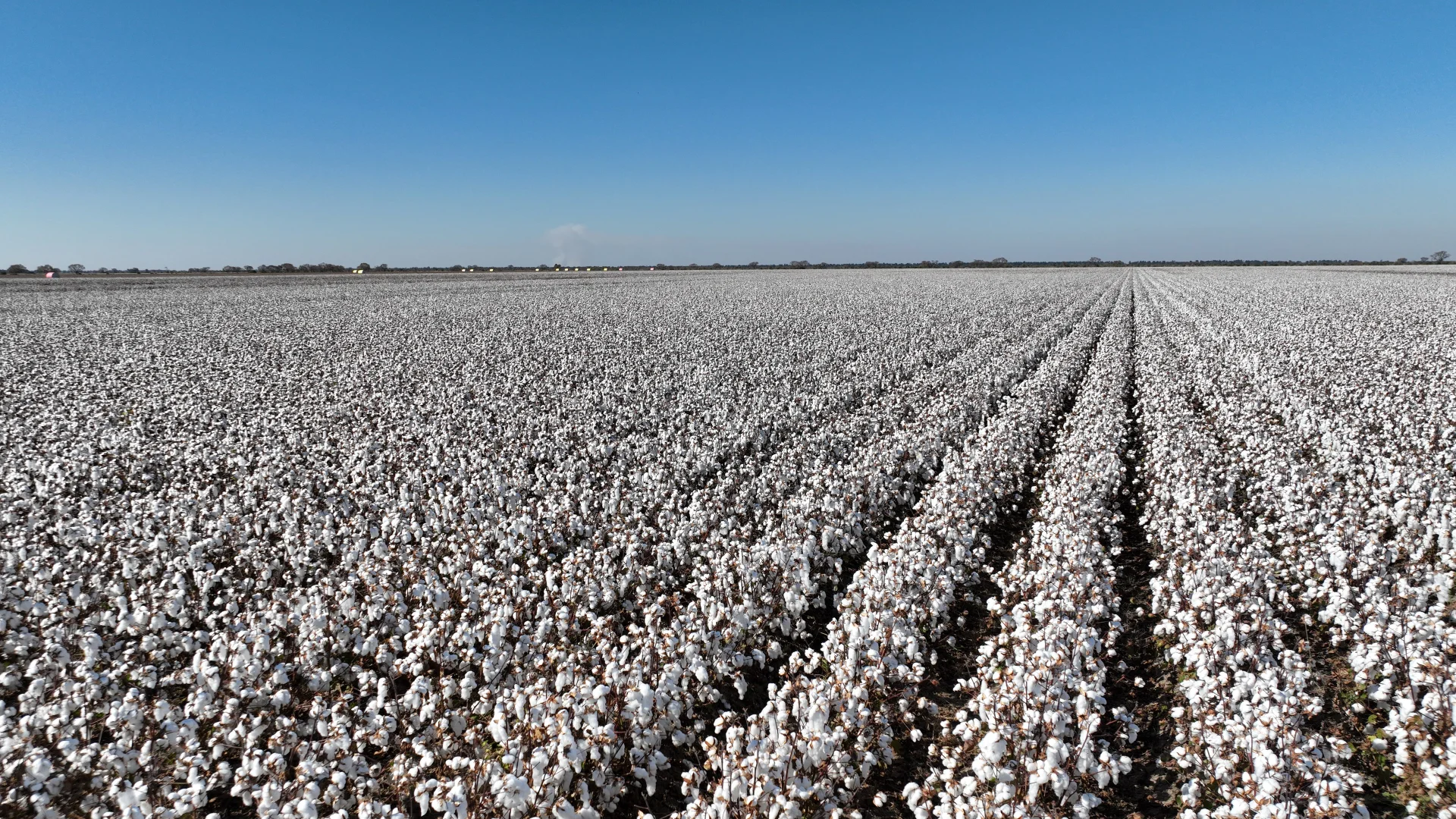 Additional image 4 of "Waringah" Mabins Well Road, Conargo NSW 2710