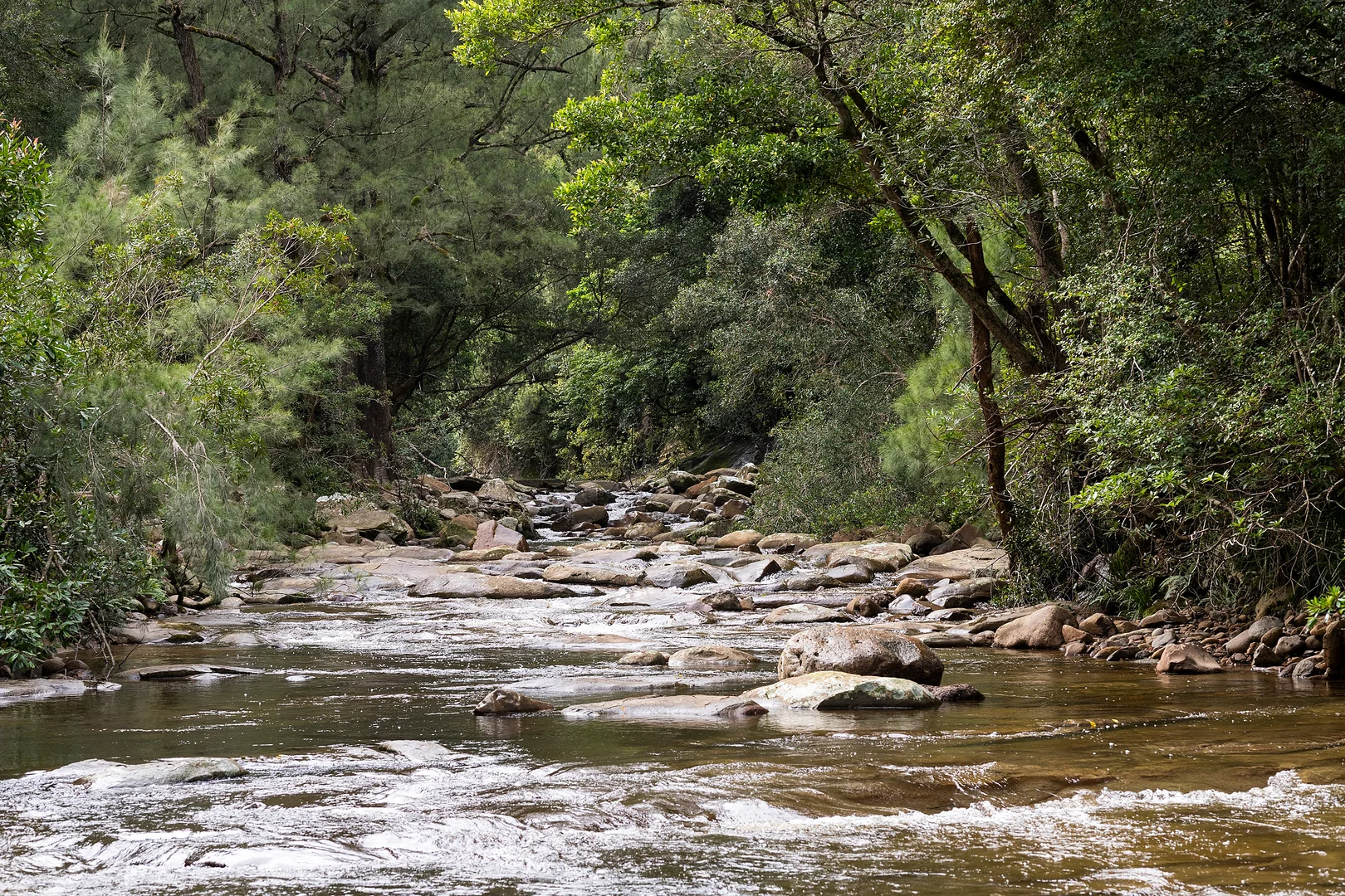 Additional image 9 of 340a Brogers Creek Road, Berry NSW 2535