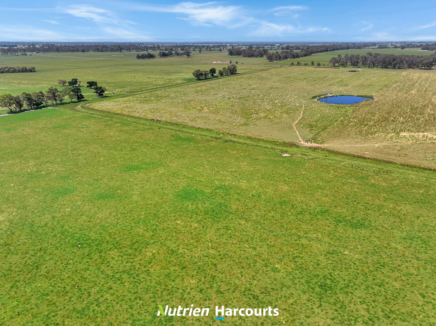 Additional image 10 of 480 Toongabbie-Cowwarr Road, Cowwarr VIC 3857