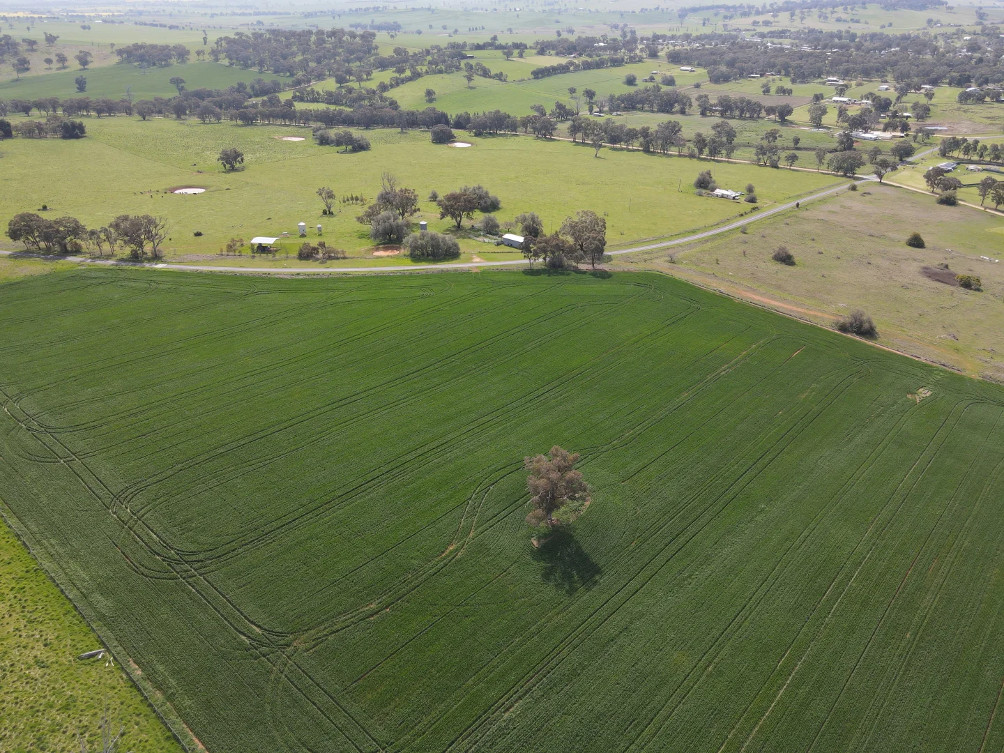 Additional image 9 of Woodstock NSW 2793