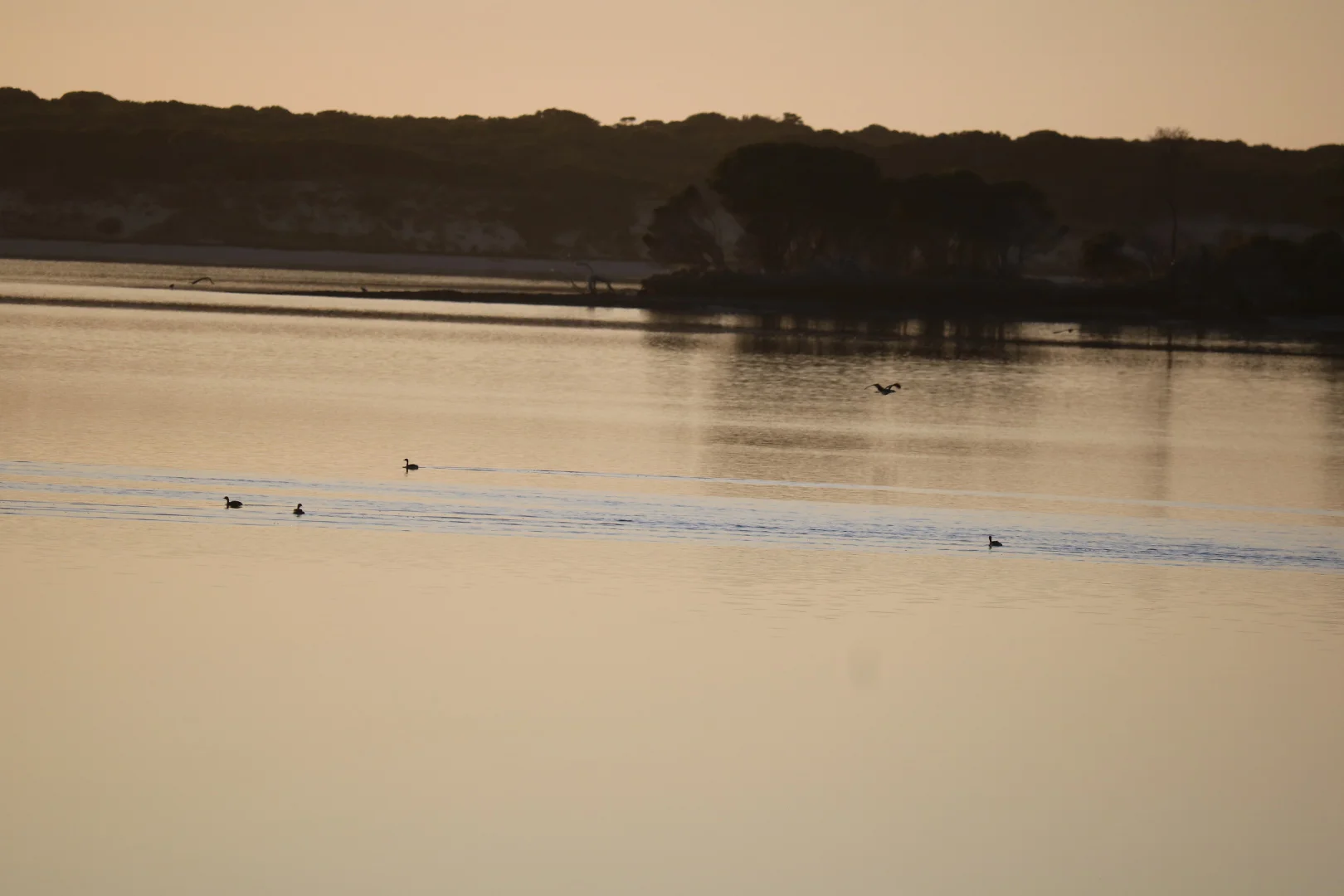 Additional image 10 of Lot 1 North East River Road, Palana TAS 7255